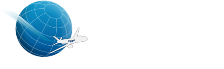 Spediclic